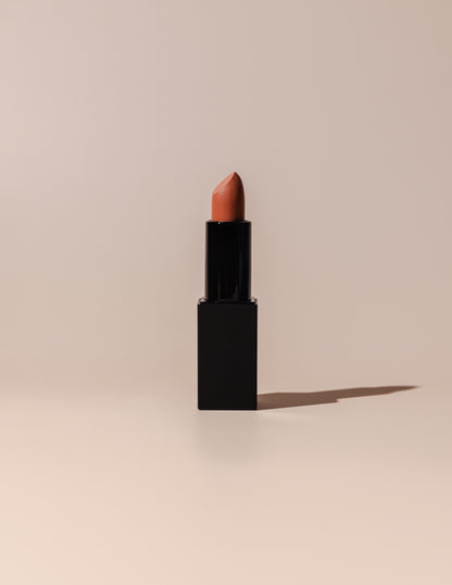 Shades of Nudes Lipstick